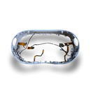 Quest 3S Shell Frame